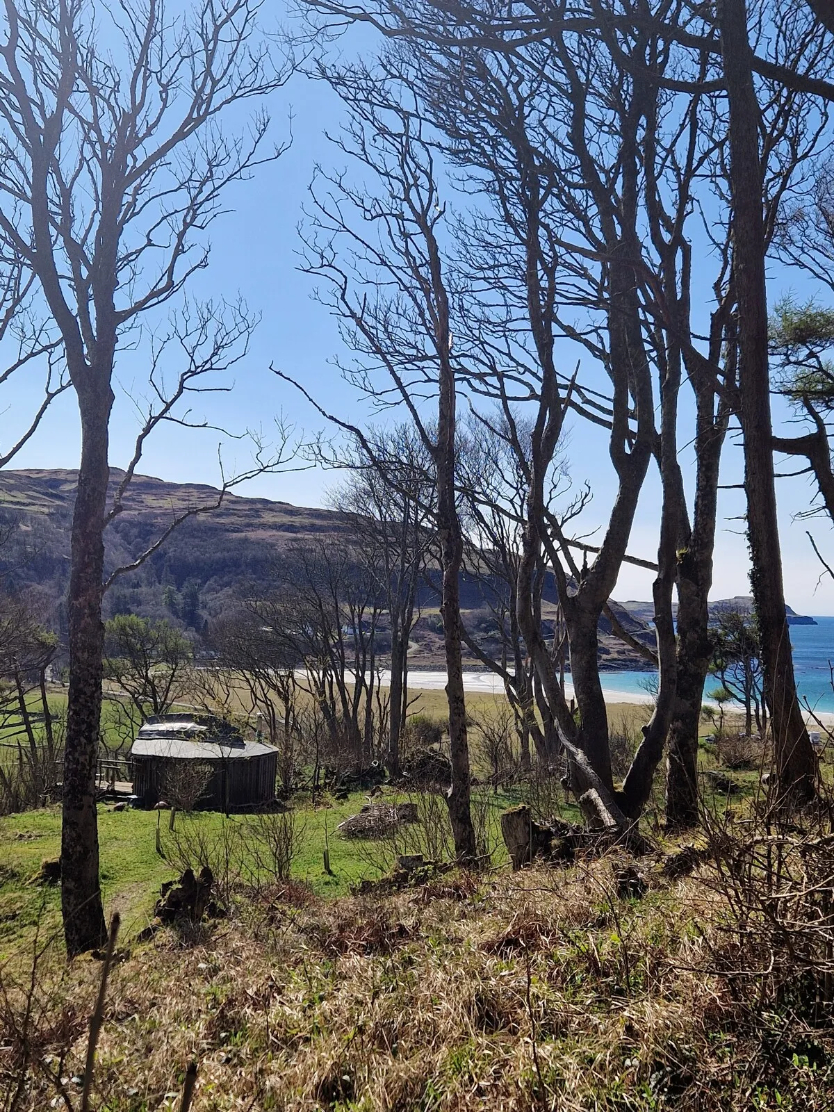 View through the woods toward Calgary Bay